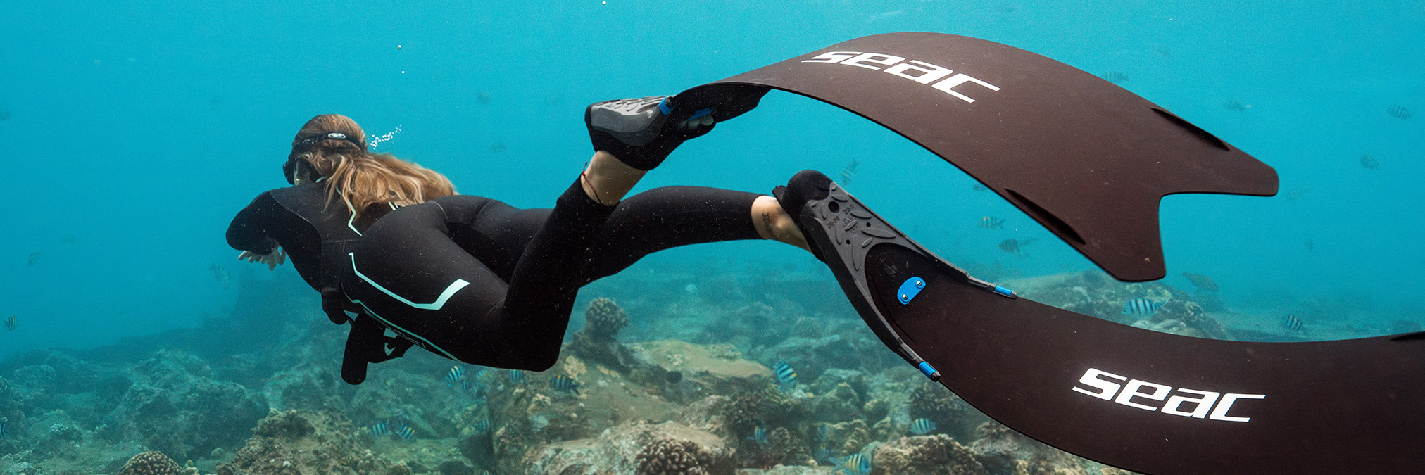 Seac -Seac 1